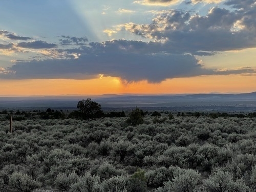 View of sunset with desert vegetation in foreground outside of Taso New Mexico