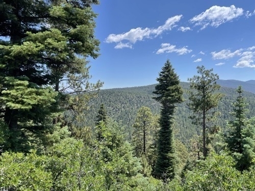 View of forested mountains along High Road from Taos to Santa Fe outside of Taso New Mexico