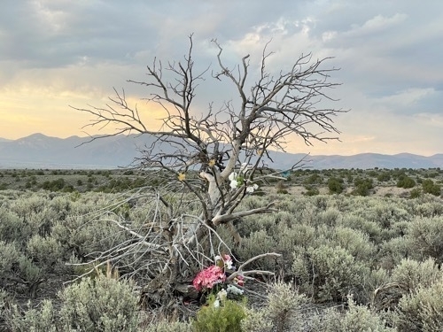 View of tree decorated with colorful objects outside of Taos New Mexico